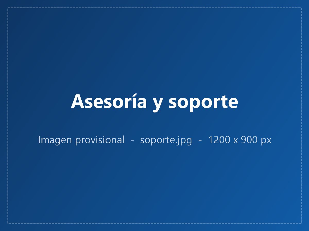 Asesoría y soporte en sistemas